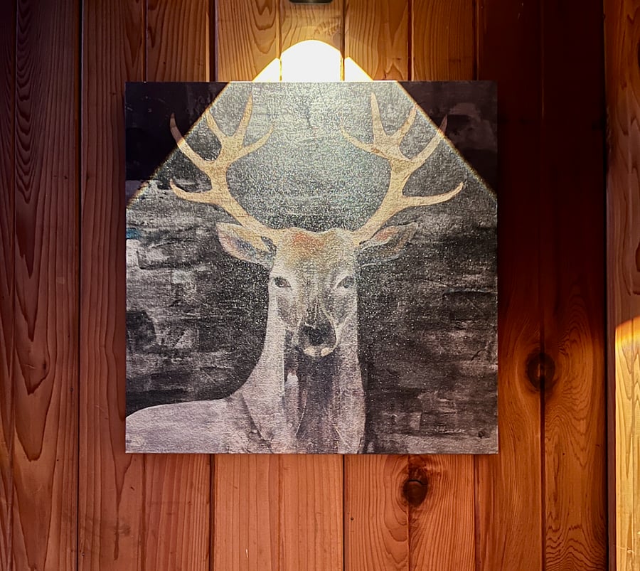 Front entry with motion sensing lights