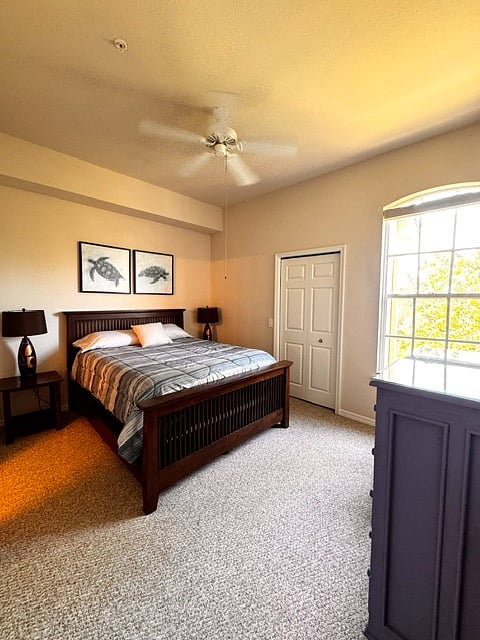 Furnished Finder property 996244_1 photo 5