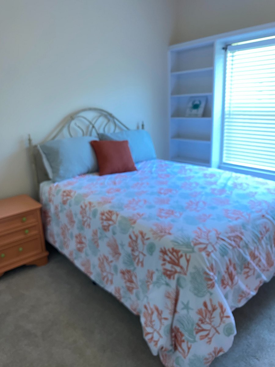 Furnished Finder property 996256_1 photo 15