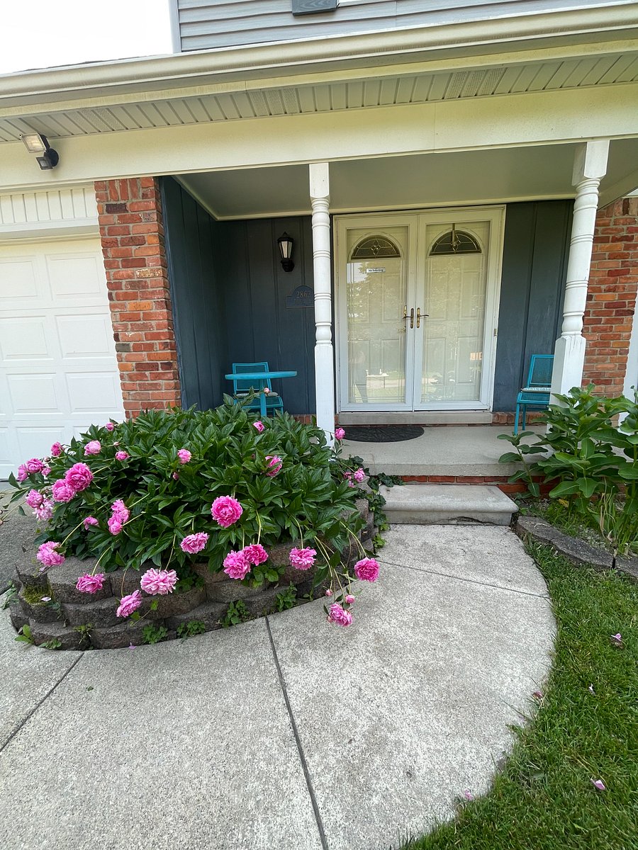 Furnished Finder property 996262_1 photo 31