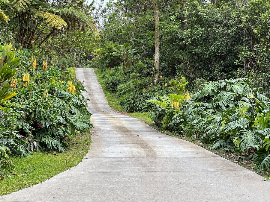 A secluded property with a private driveway.