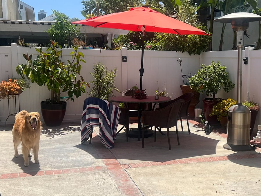 Furnished Finder property 996297_1 photo 16