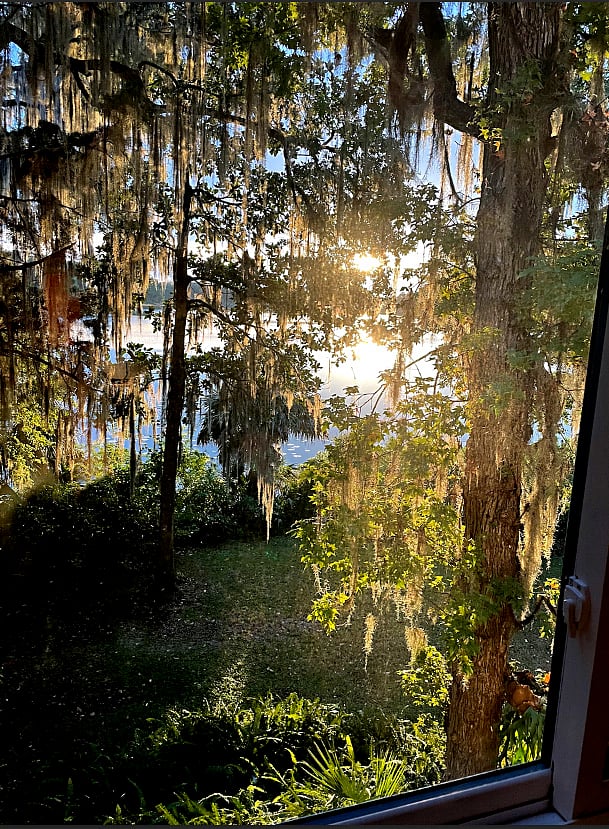 Afternoon lake view from dining area