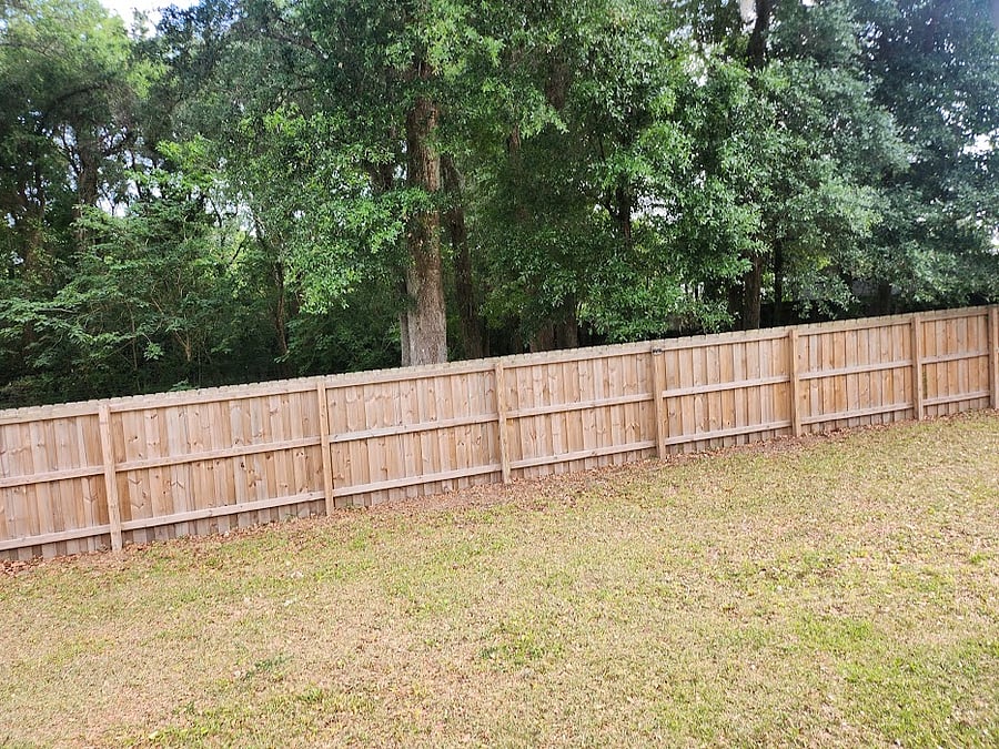Furnished Finder property 996422_1 photo 16