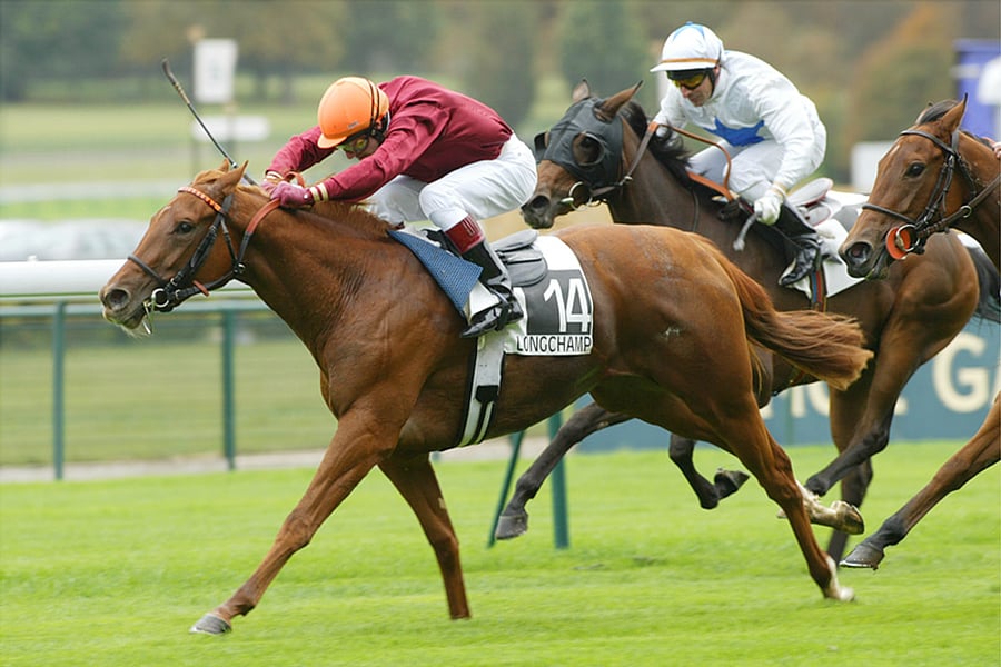 Del Mar Horse Racing