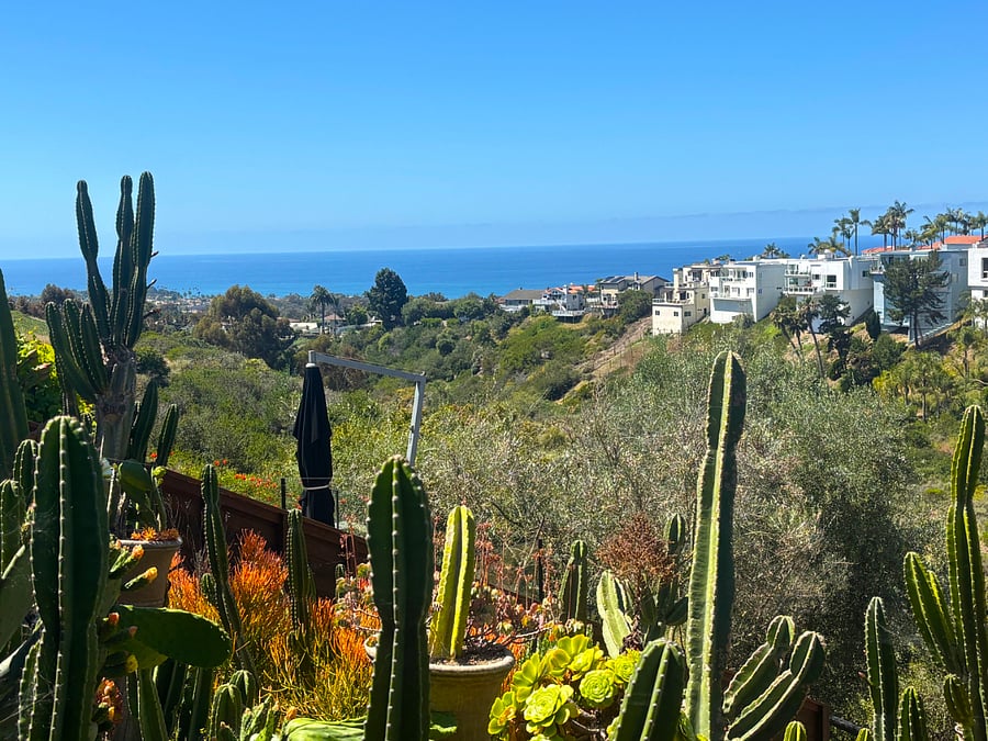 Unbelievable cactus garden, canyon and ocean views