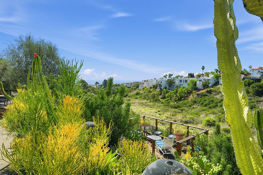 Canyon View