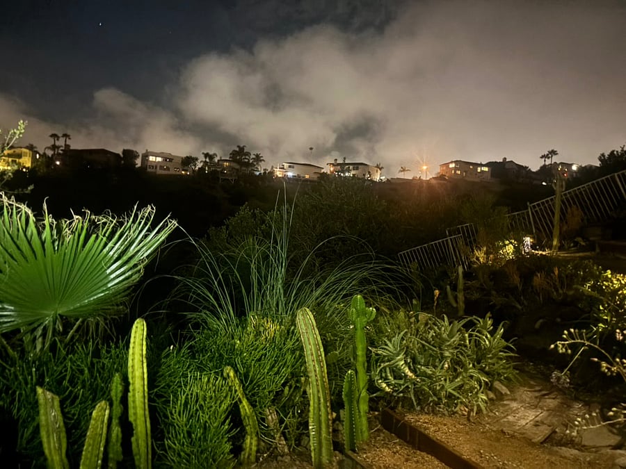 Canyon Night View