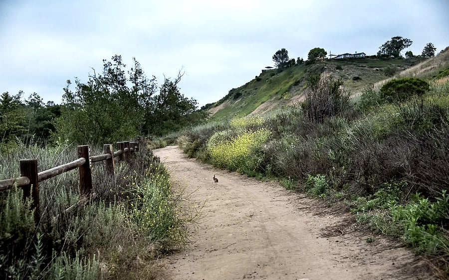 Hiking trails in San Clemente