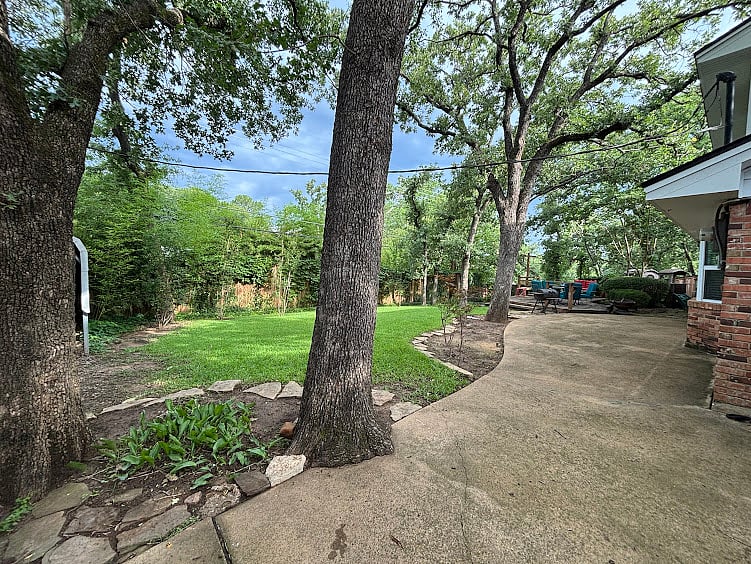 Back yard