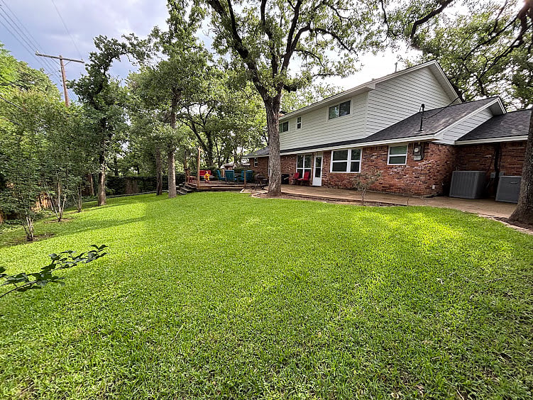 Back yard