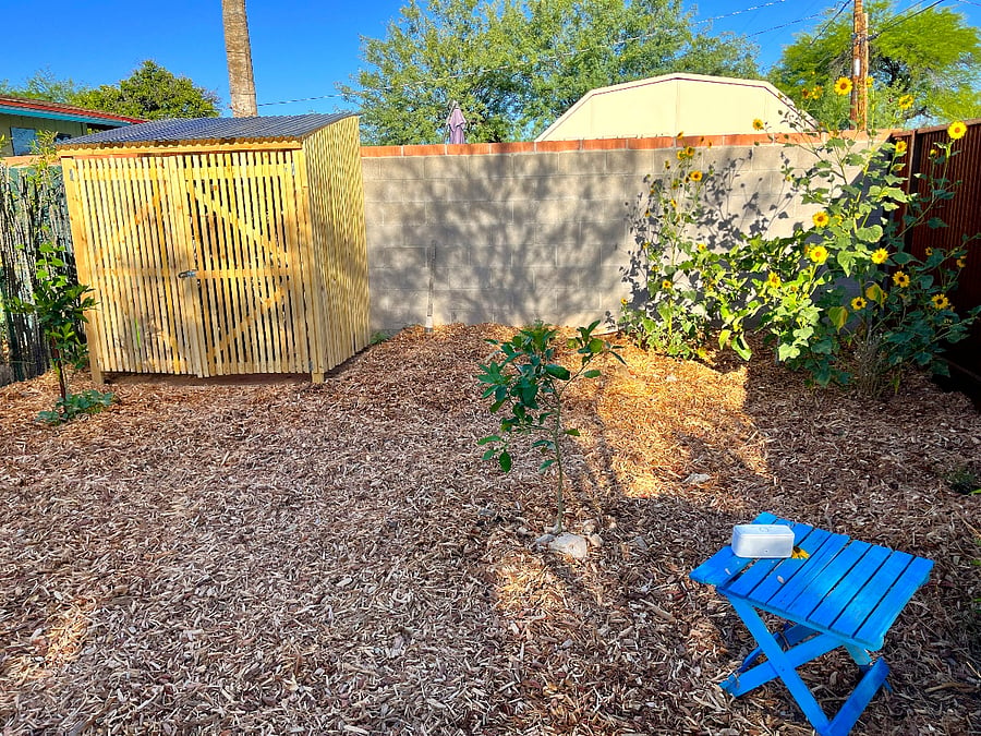 Backyard