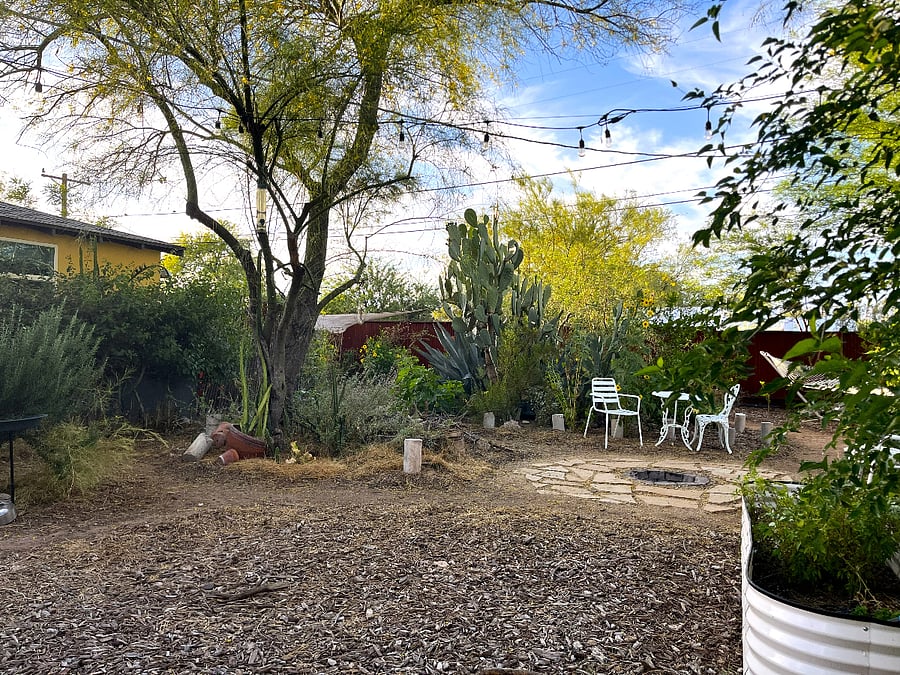 Backyard