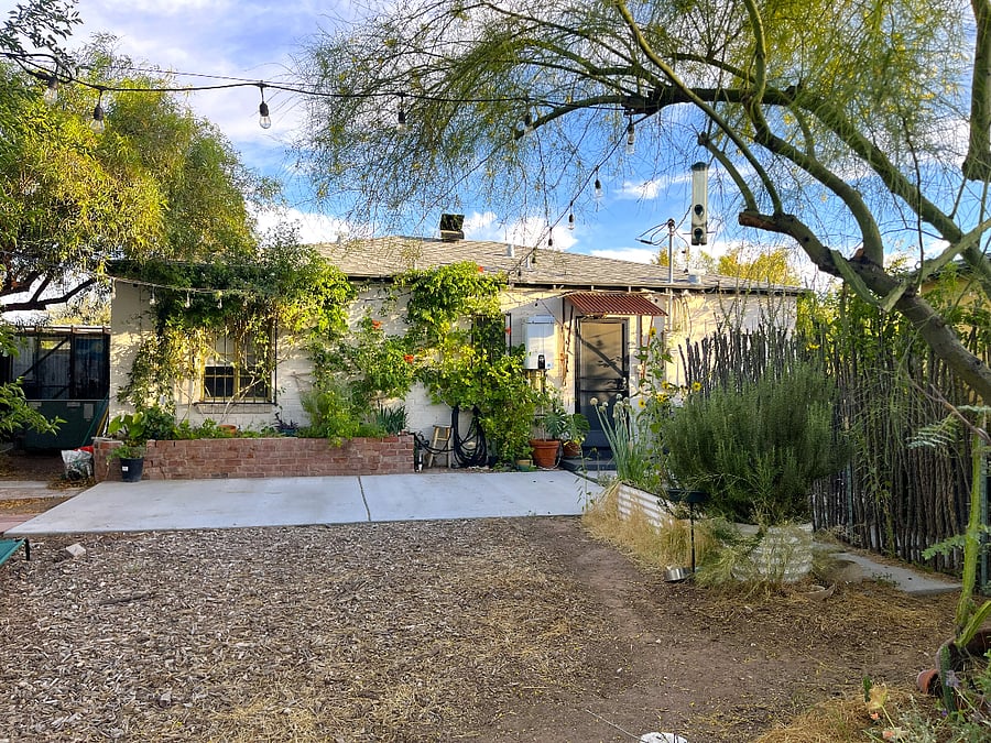 Backyard
