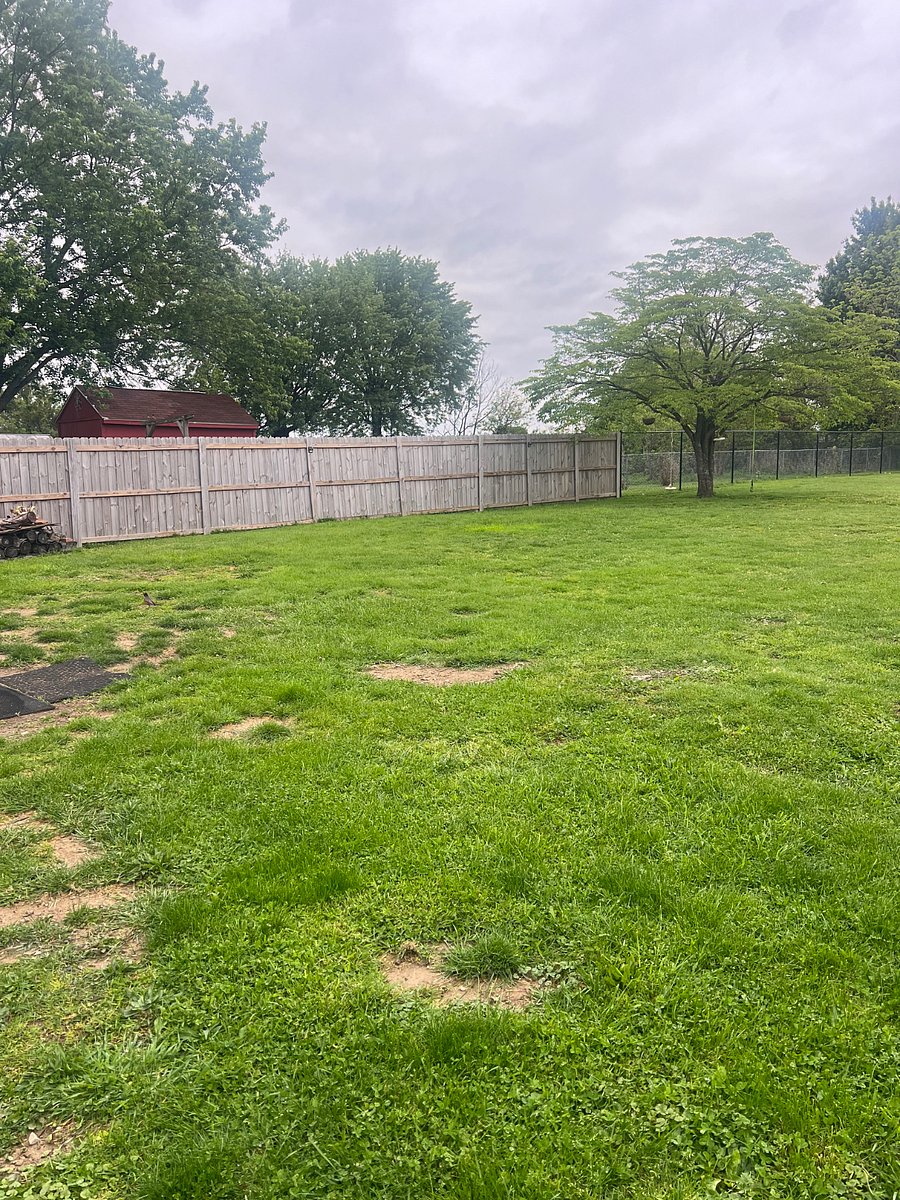 Backyard - fully fenced with 3 man-doors and 1 20 foot drive gate.