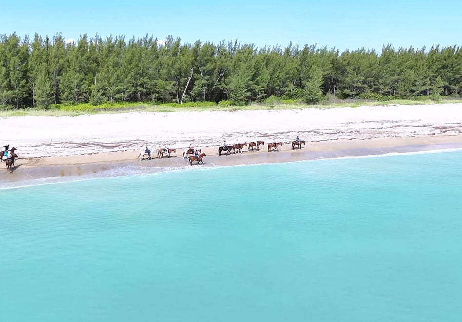 Horseback riding on the beach