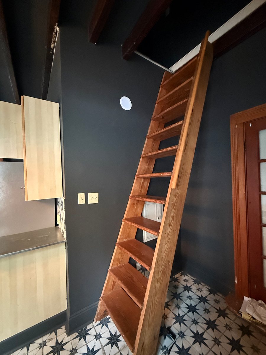 Ladder to access loft bedroom and TV room