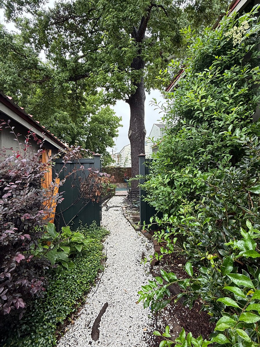 LUSH yard