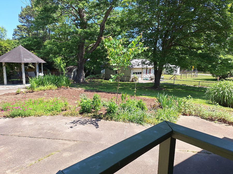 Large back yard with flowering plants