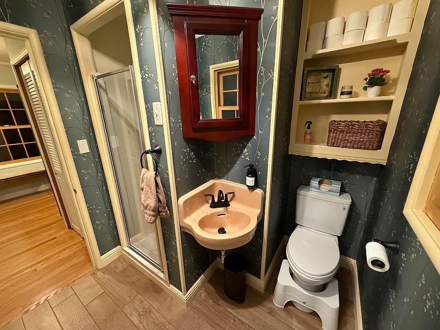 Downstairs bathroom & shower