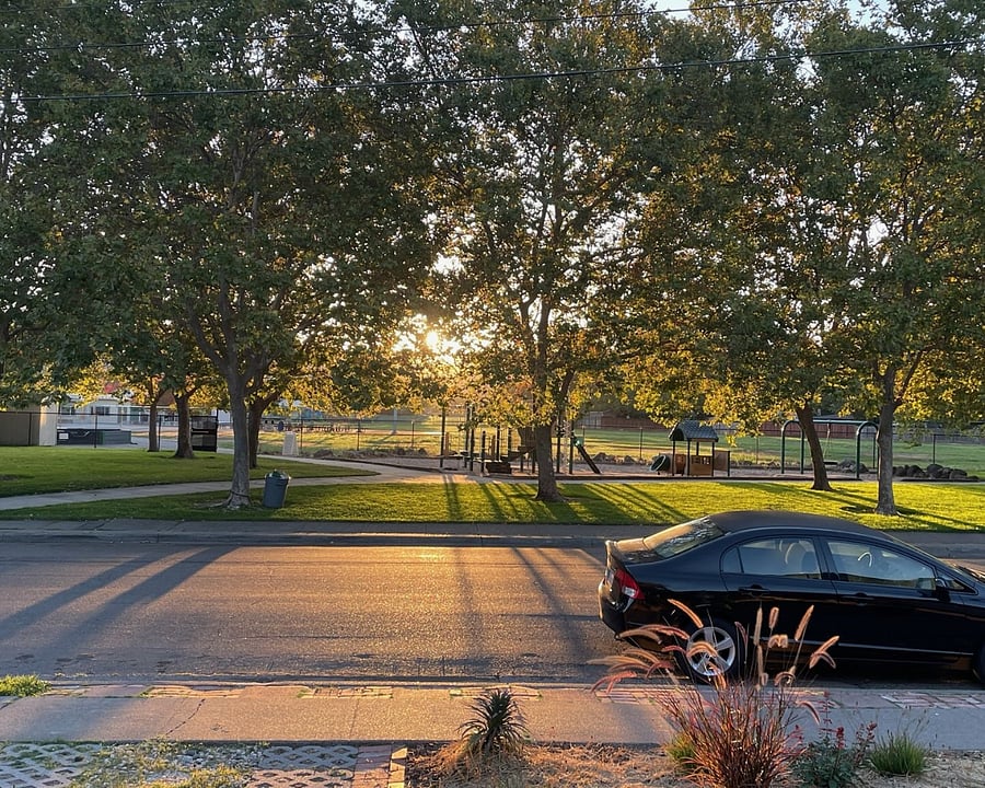 Quiet morning moments.