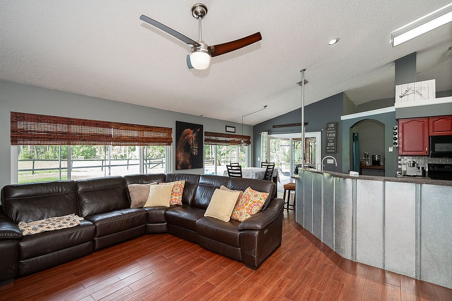 Living room and kitchen
