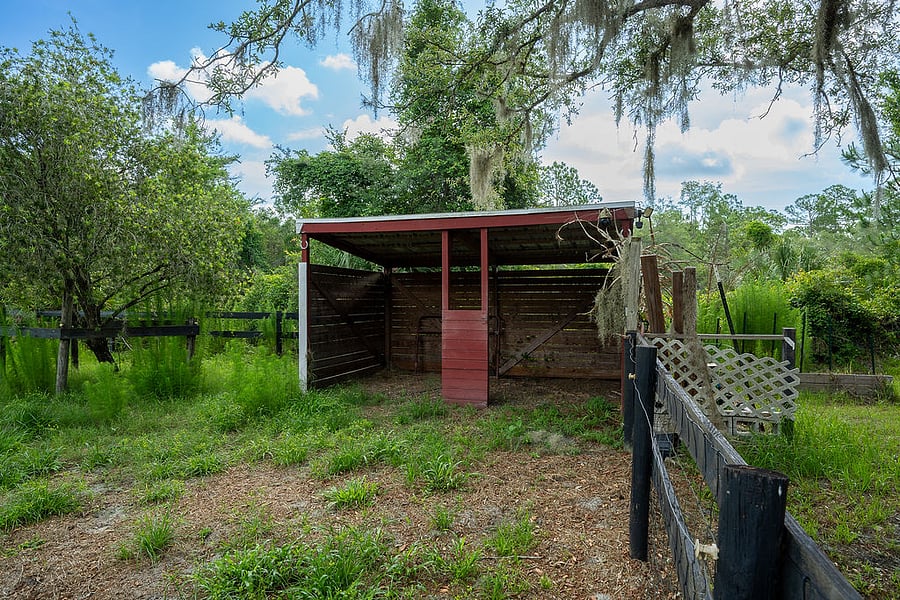 Lean-to on pasture