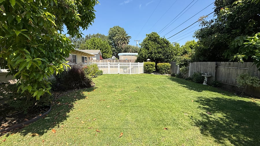 Back Yard