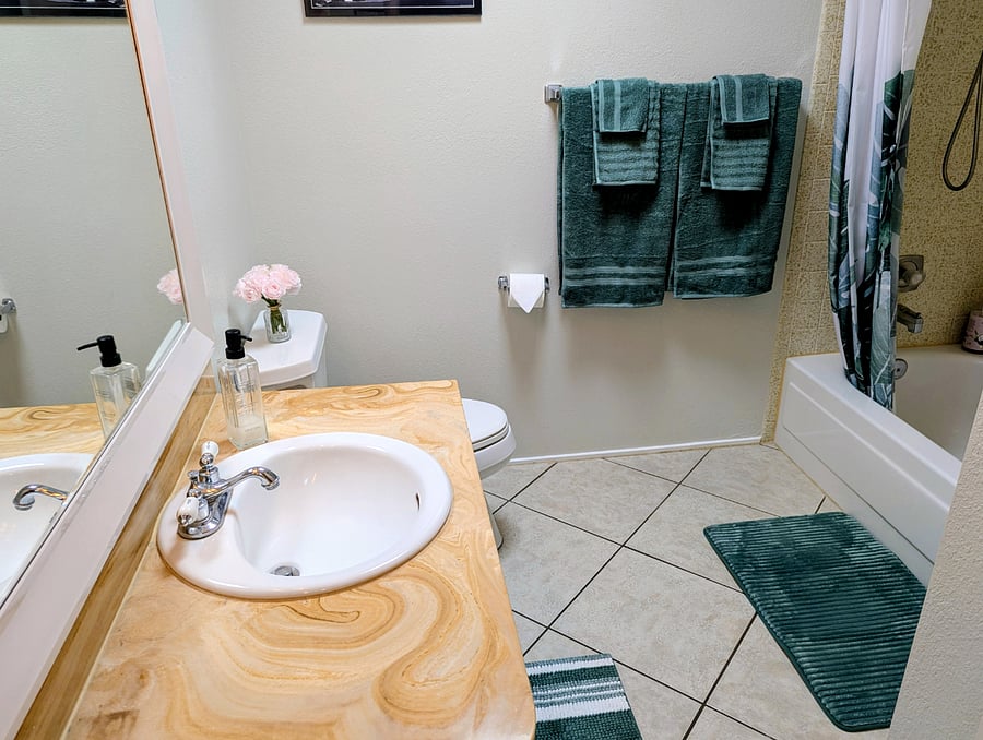 Main bathroom 