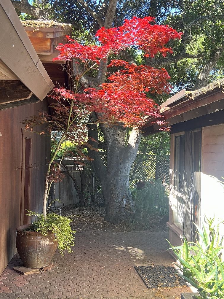 Breezeway between house and guesthouse.