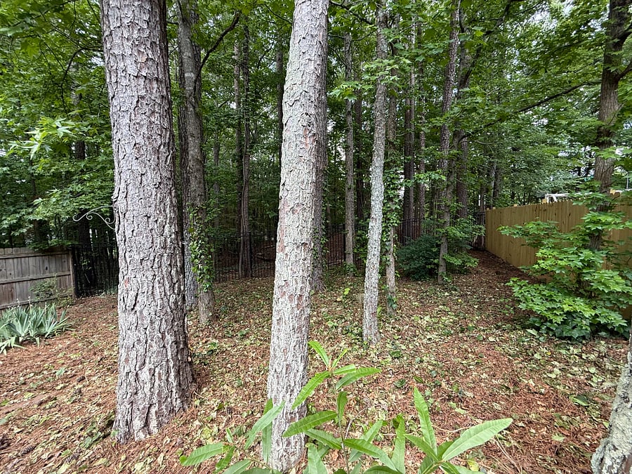Furnished Finder property 998177_1 photo 23