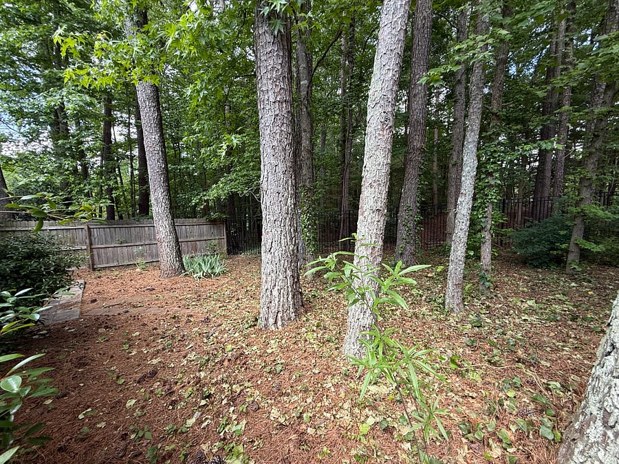 Furnished Finder property 998177_1 photo 24