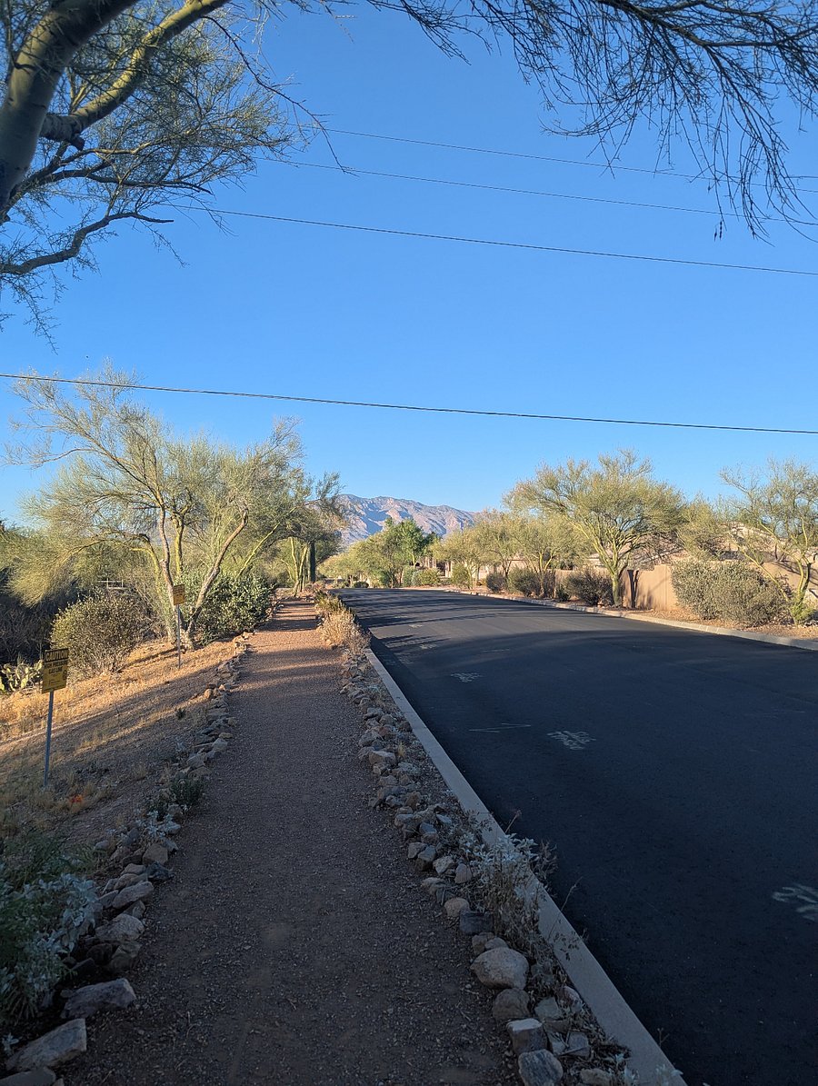 The neighborhood has trails throughout and great mountain views.