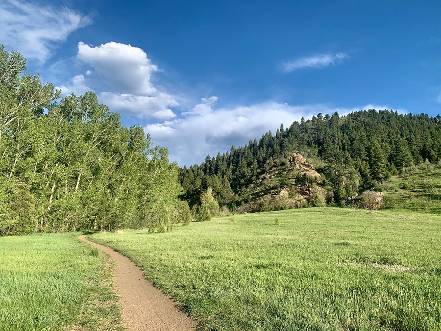 A 30-minute walk along Bear Creek brings you to the beautiful Lair o' the Bear Park.