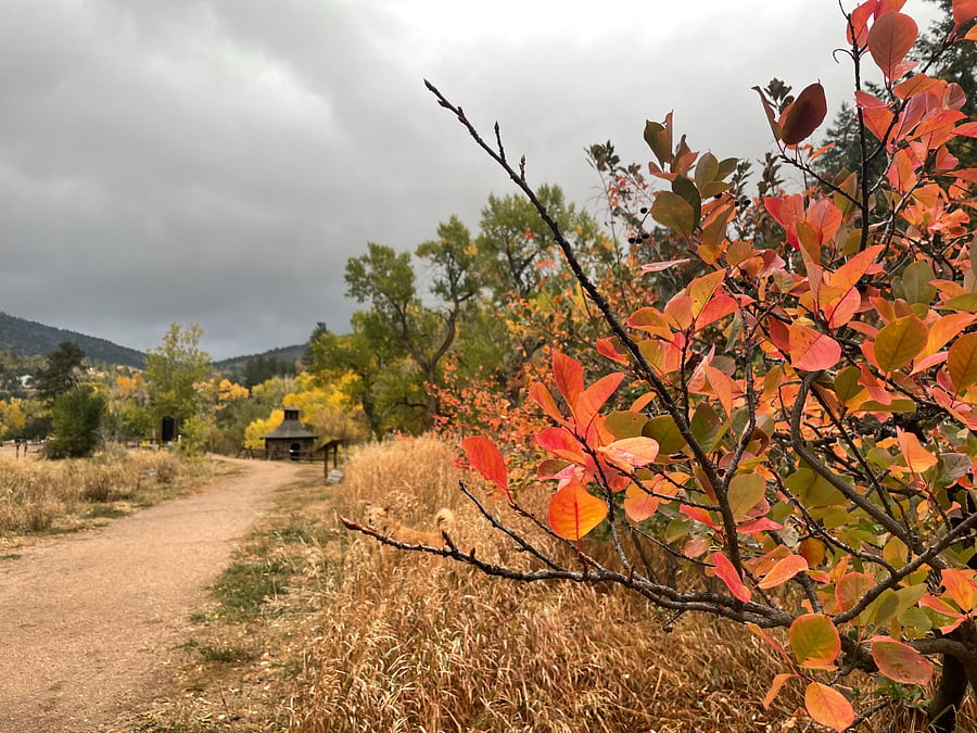 Fall colors at Little Park