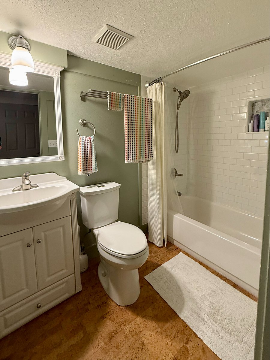 Lower level bathroom