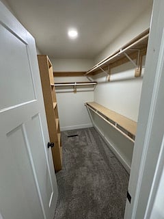 Master Walk in CLoset
