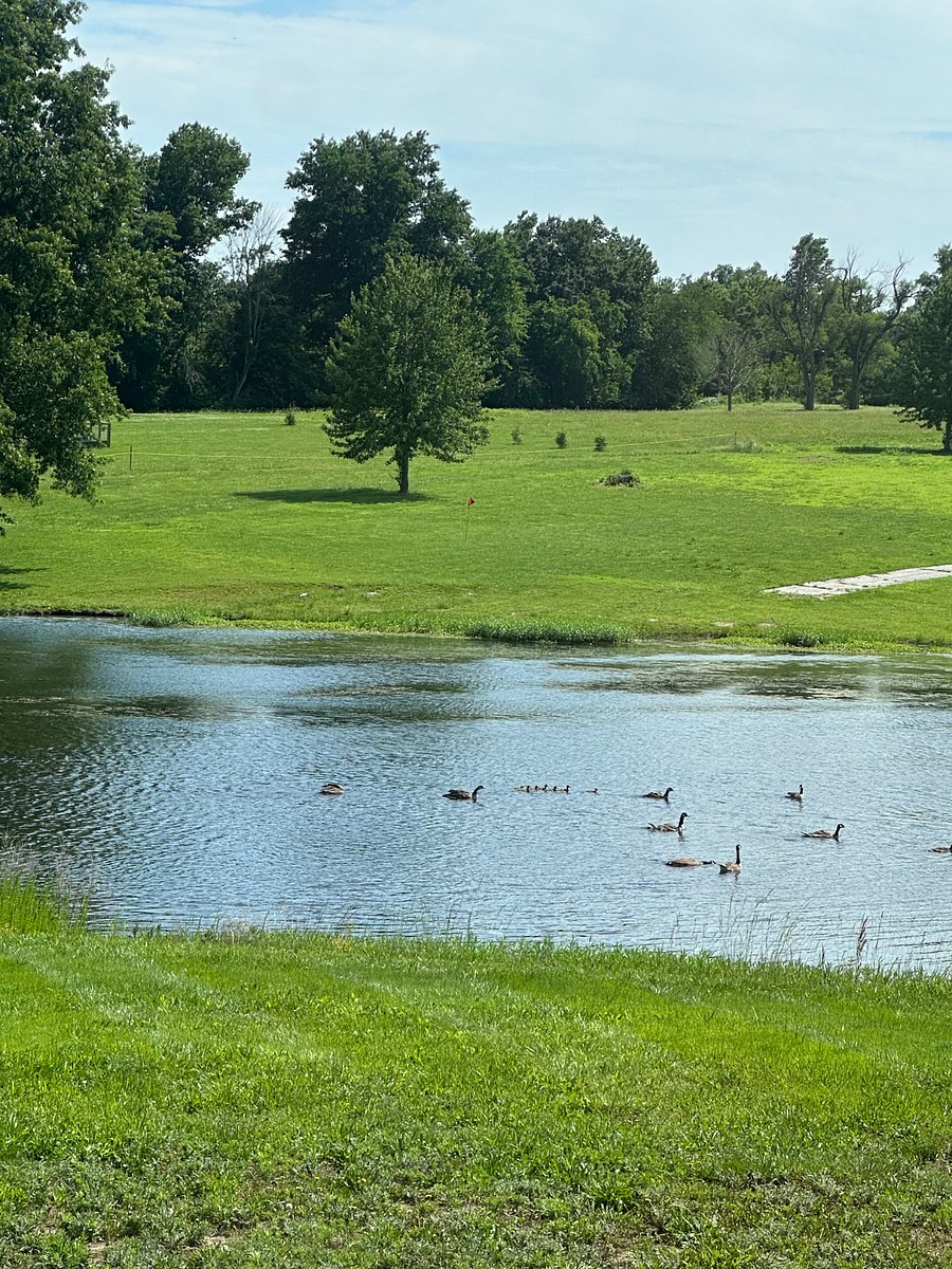 View from Covered Deck Stocked pond