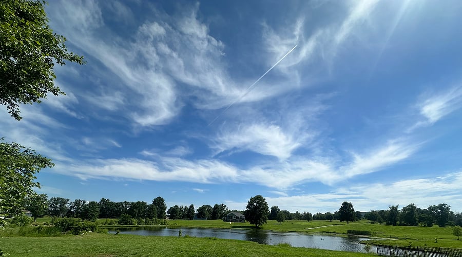 View from Covered Deck Area of stocked pond/ ducks