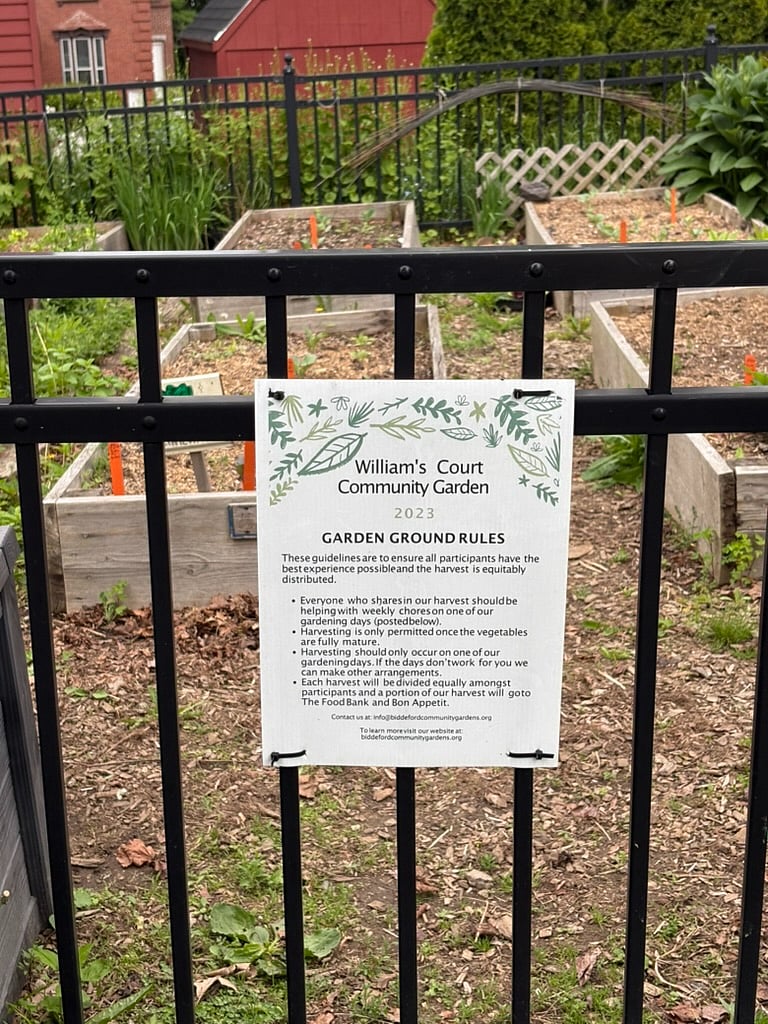 Community garden in park across the street from house.