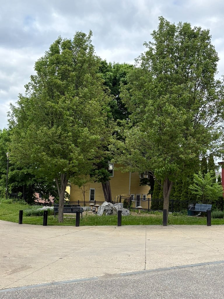 View across the street from the house.