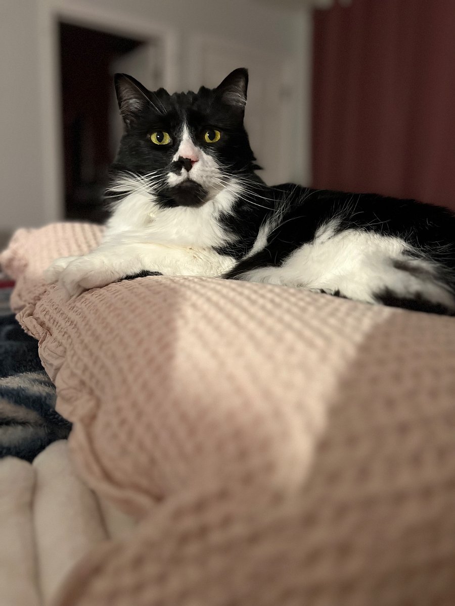 Furnished Finder property 998545_1 photo 24