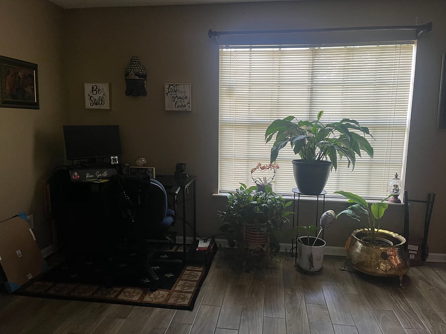Furnished Finder property 998641_1 photo 5