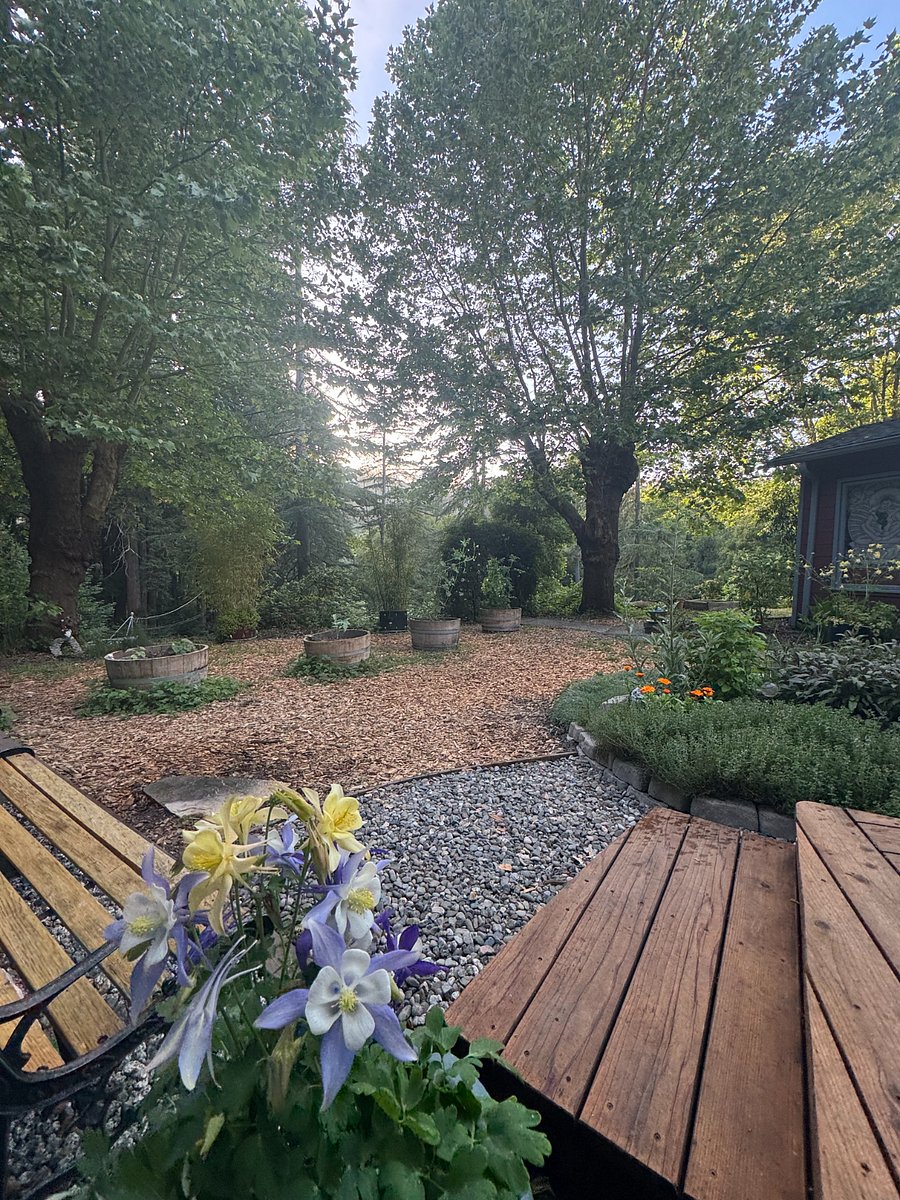 Furnished Finder property 998677_1 photo 20
