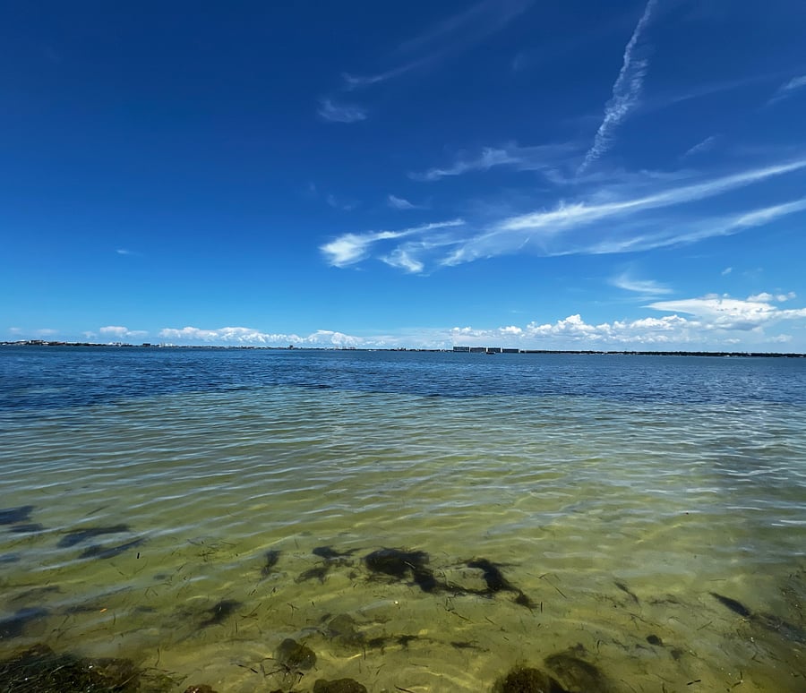 Boca Ciega bay right behind this condo!