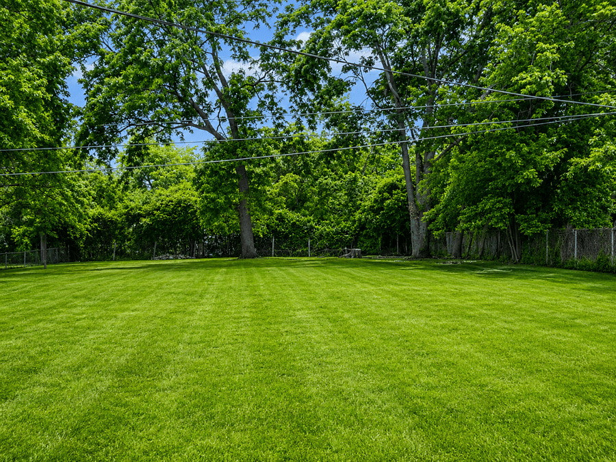 Spacious backyard with plenty of room to relax and enjoy the outdoors