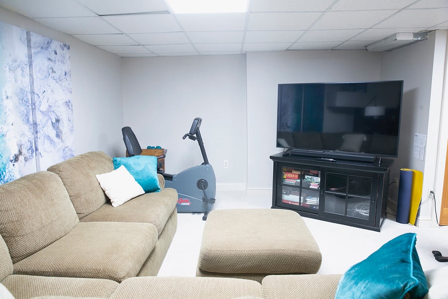 Lower Level living room and exercise area