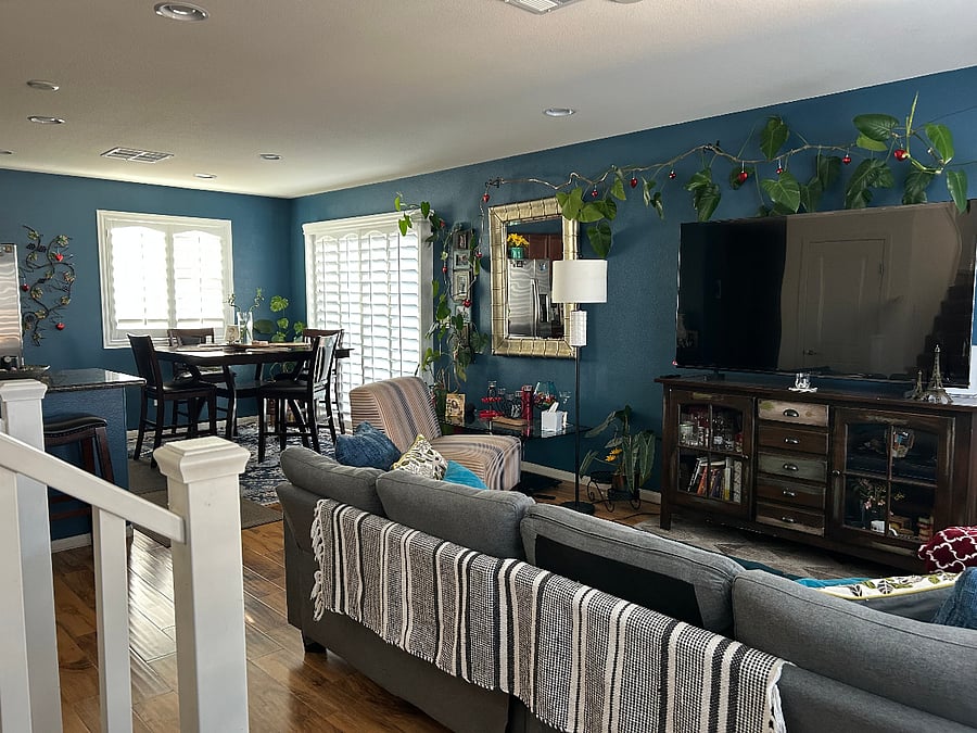 Furnished Finder property 999067_1 photo 6