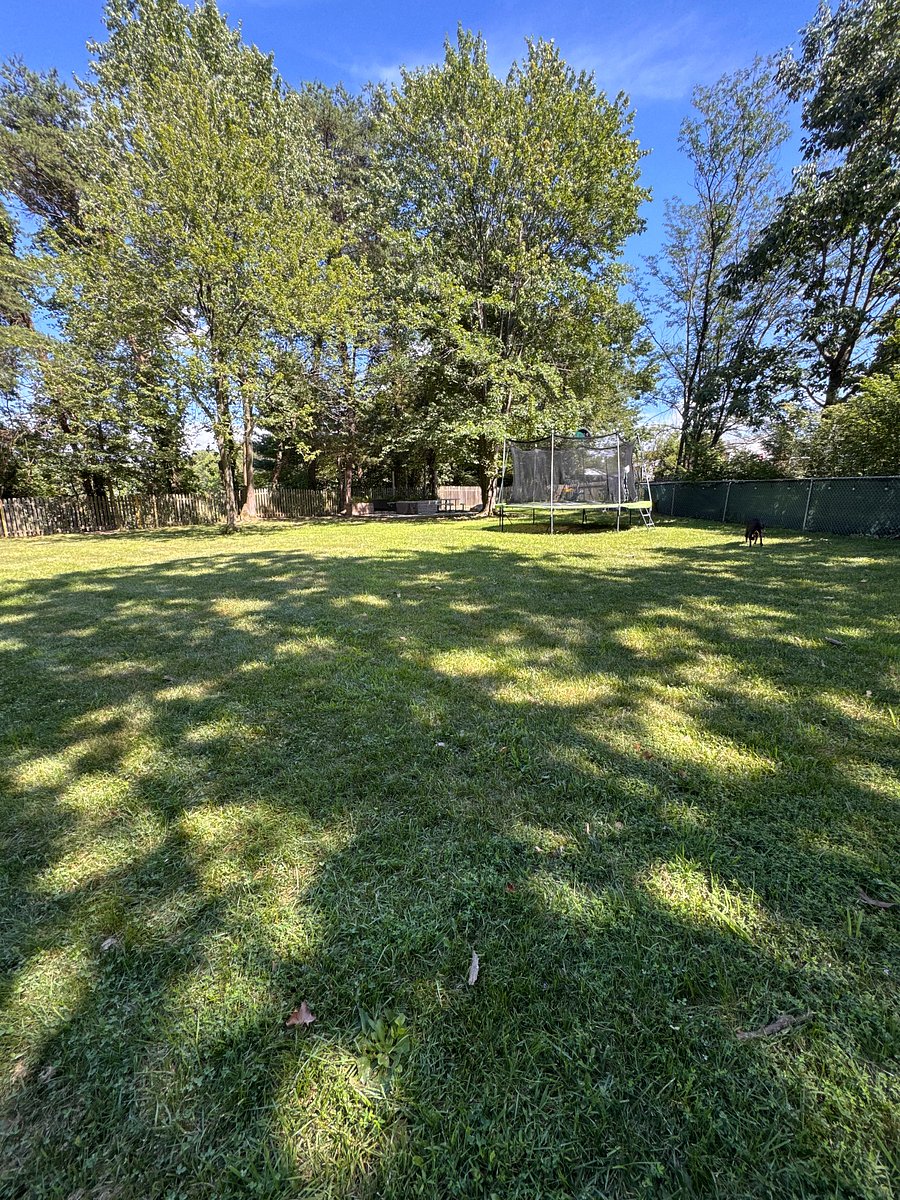 Portion of the 0.5 acre lawn 
