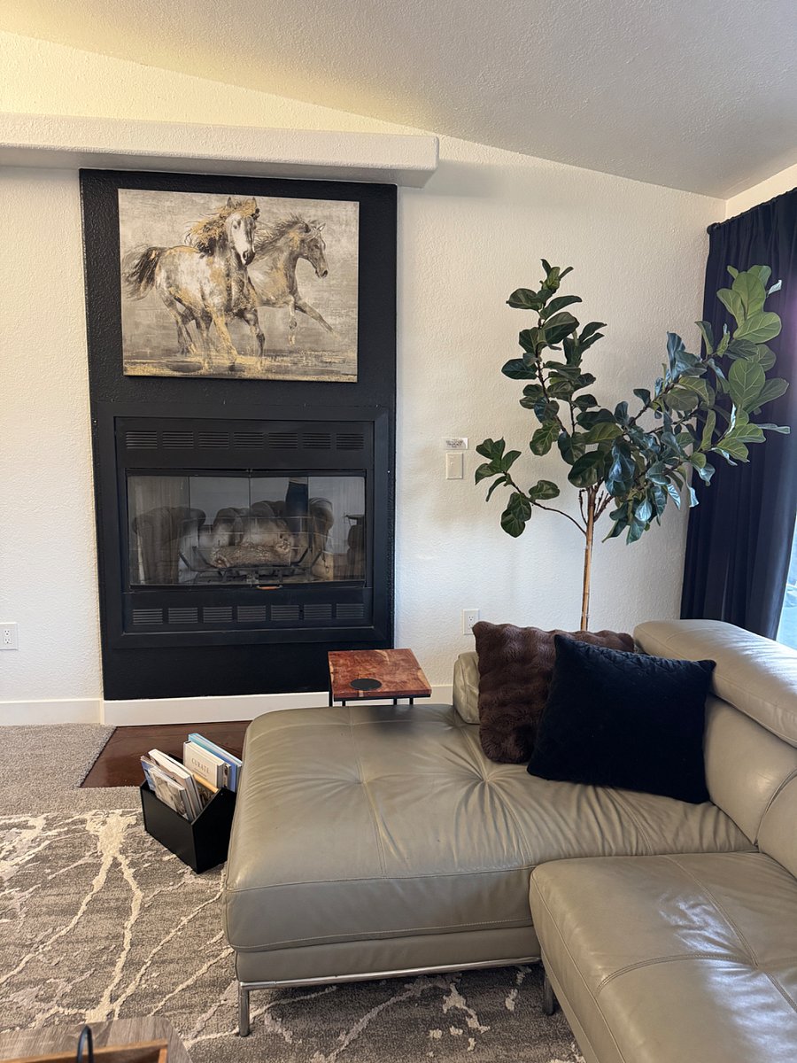 Wood Burning Fireplace